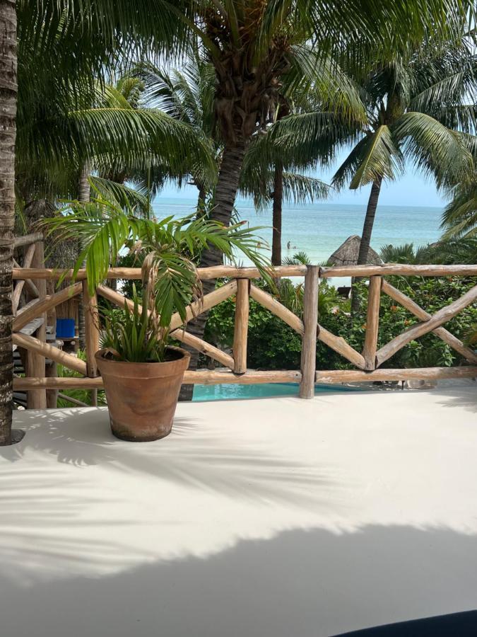 ホルボックス島 Casa Tom Tom - Adults Only Bed & Breakfast エクステリア 写真