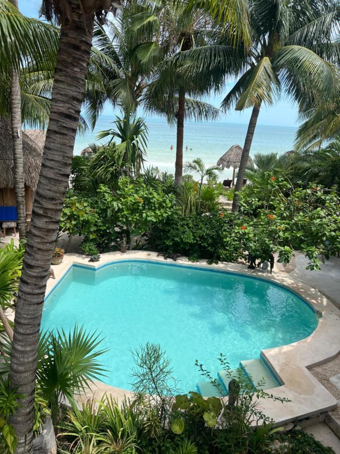 ホルボックス島 Casa Tom Tom - Adults Only Bed & Breakfast エクステリア 写真