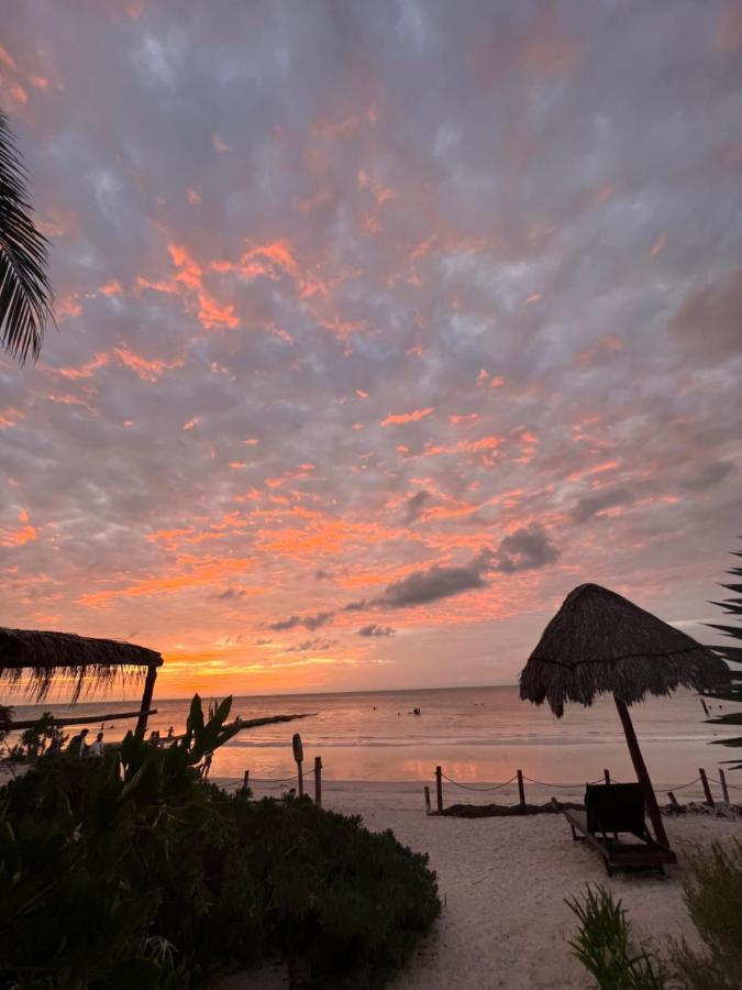 ホルボックス島 Casa Tom Tom - Adults Only Bed & Breakfast エクステリア 写真