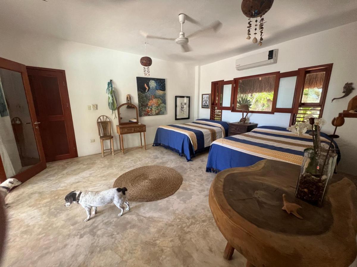 ホルボックス島 Casa Tom Tom - Adults Only Bed & Breakfast エクステリア 写真