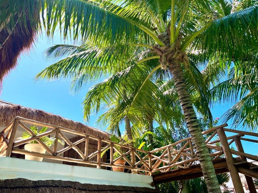 ホルボックス島 Casa Tom Tom - Adults Only Bed & Breakfast エクステリア 写真