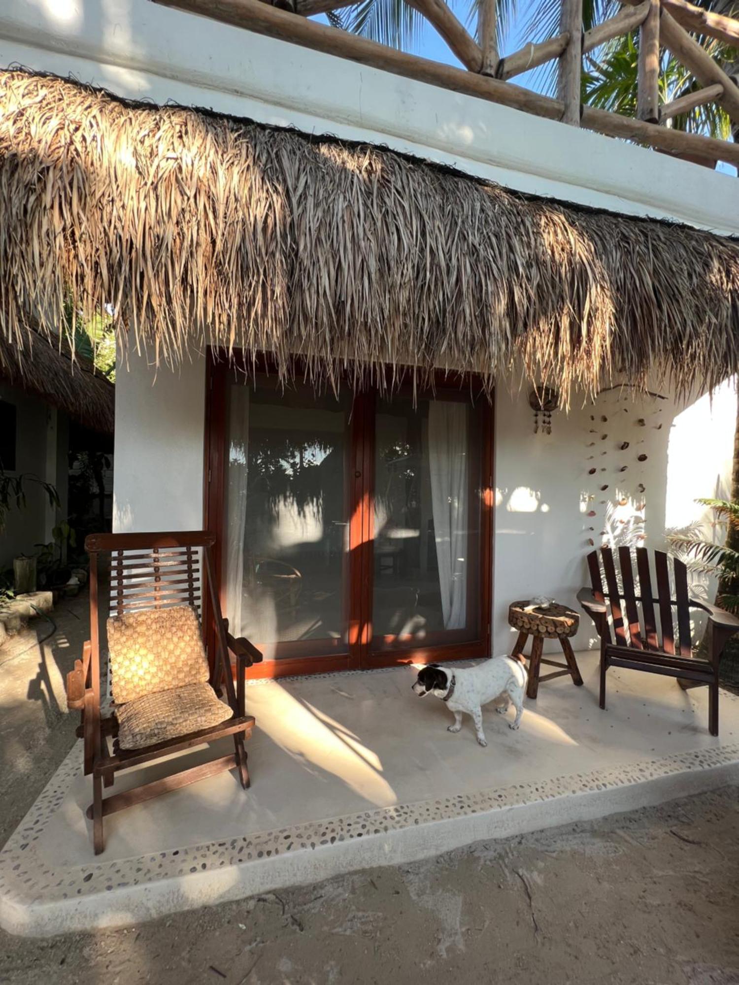 ホルボックス島 Casa Tom Tom - Adults Only Bed & Breakfast エクステリア 写真