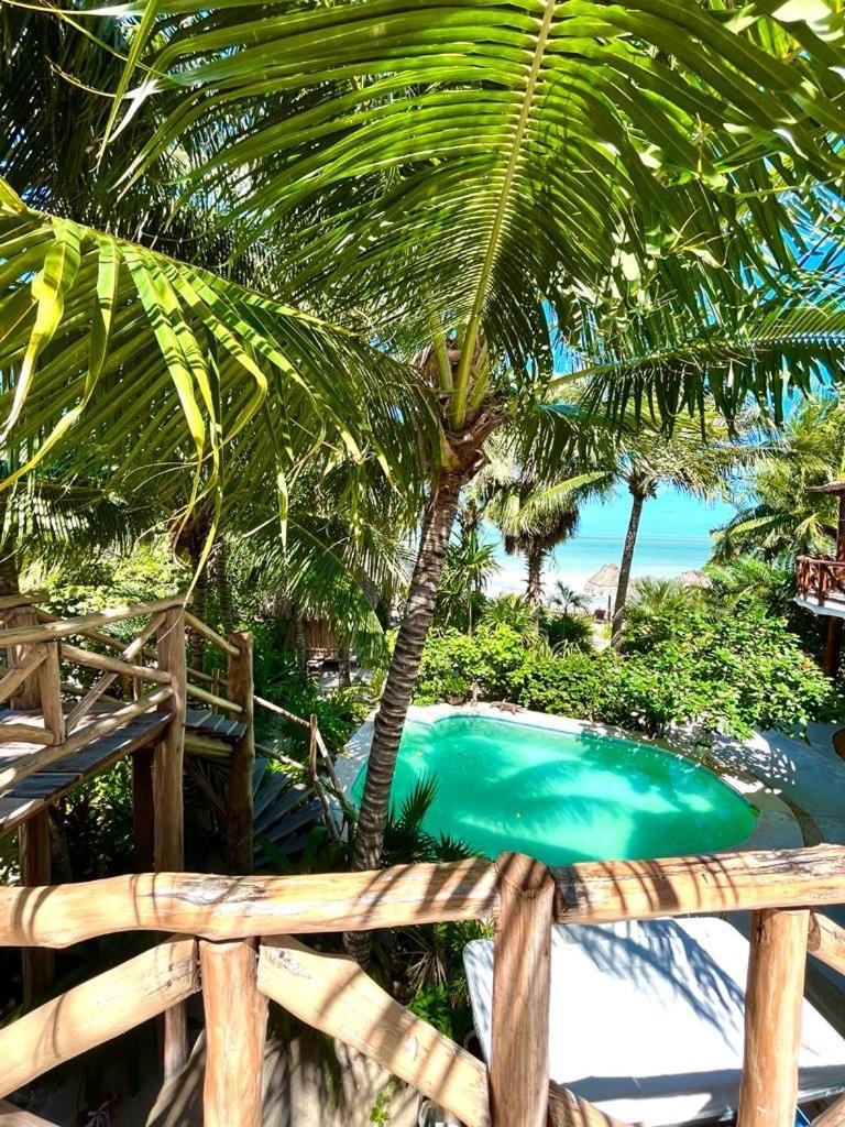 ホルボックス島 Casa Tom Tom - Adults Only Bed & Breakfast エクステリア 写真