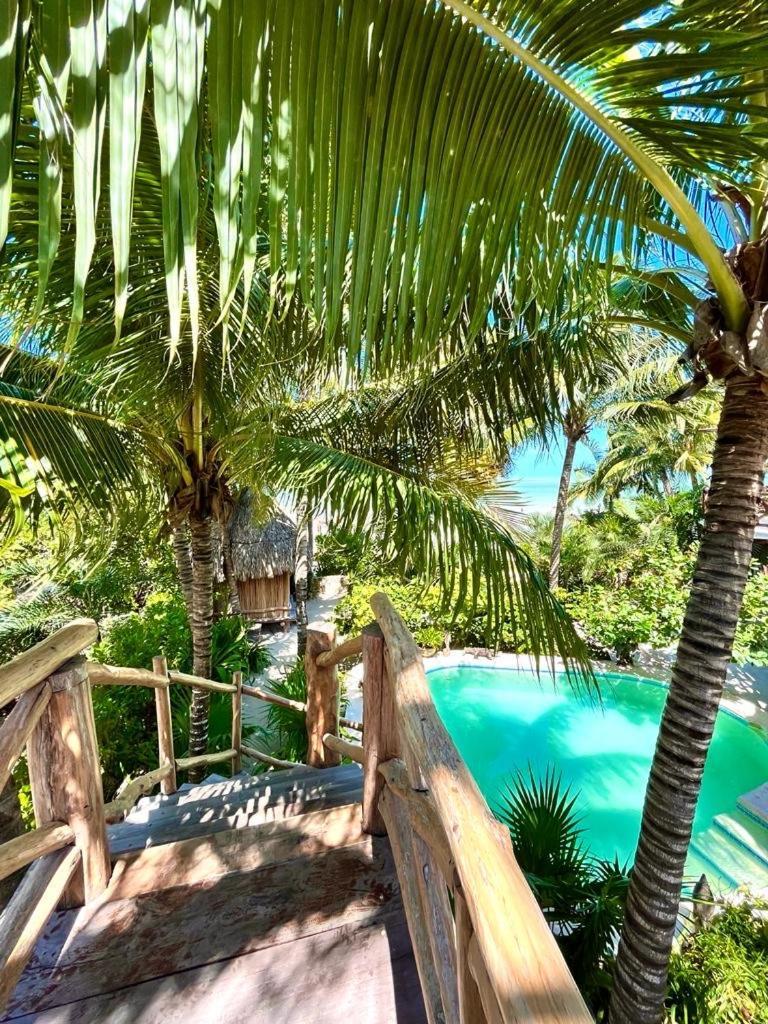 ホルボックス島 Casa Tom Tom - Adults Only Bed & Breakfast エクステリア 写真