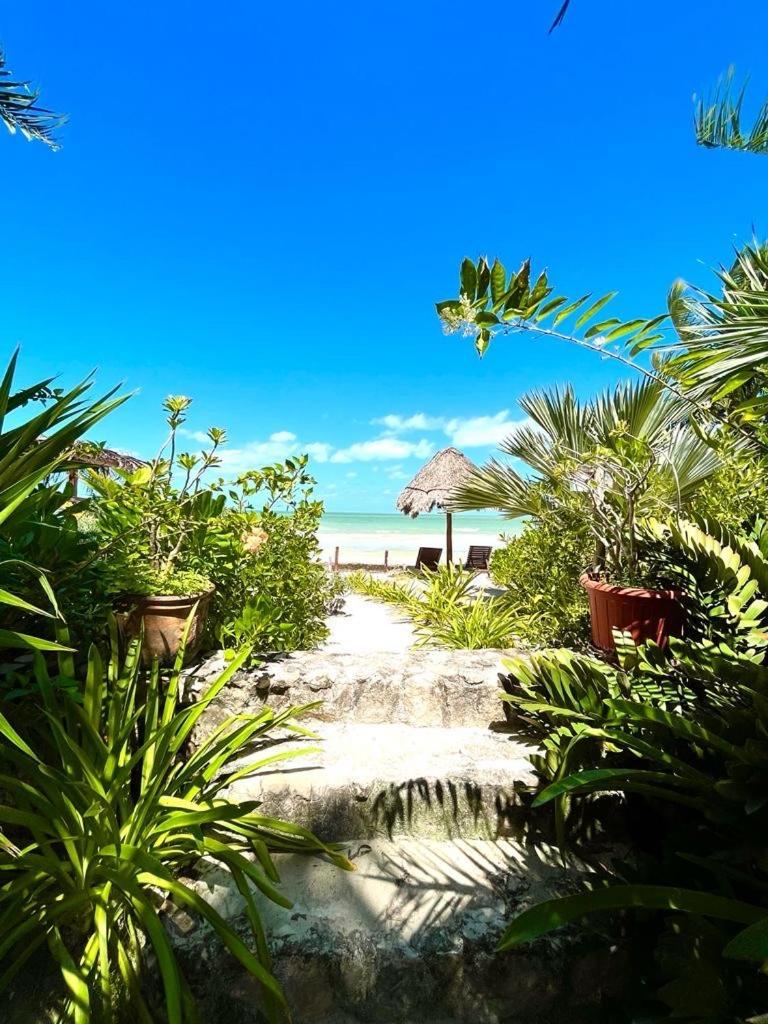 ホルボックス島 Casa Tom Tom - Adults Only Bed & Breakfast エクステリア 写真