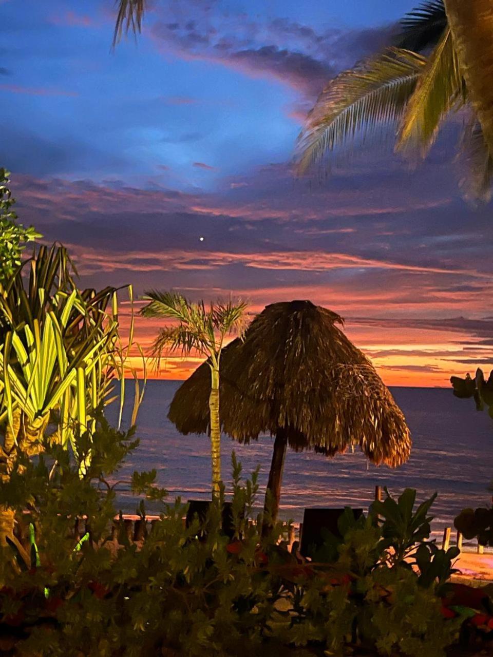 ホルボックス島 Casa Tom Tom - Adults Only Bed & Breakfast エクステリア 写真