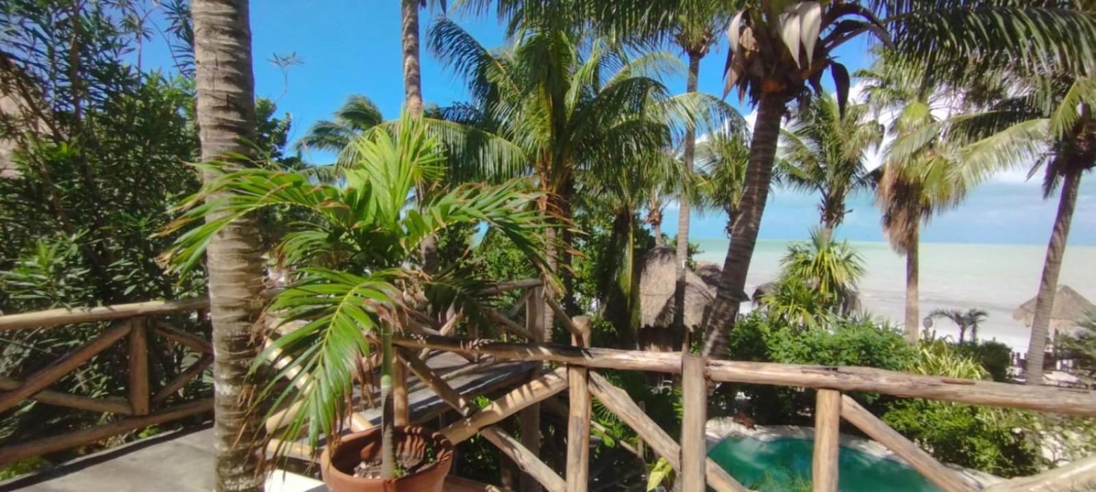 ホルボックス島 Casa Tom Tom - Adults Only Bed & Breakfast エクステリア 写真