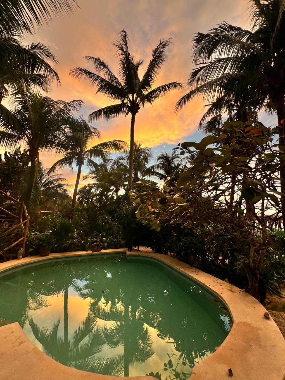 ホルボックス島 Casa Tom Tom - Adults Only Bed & Breakfast エクステリア 写真