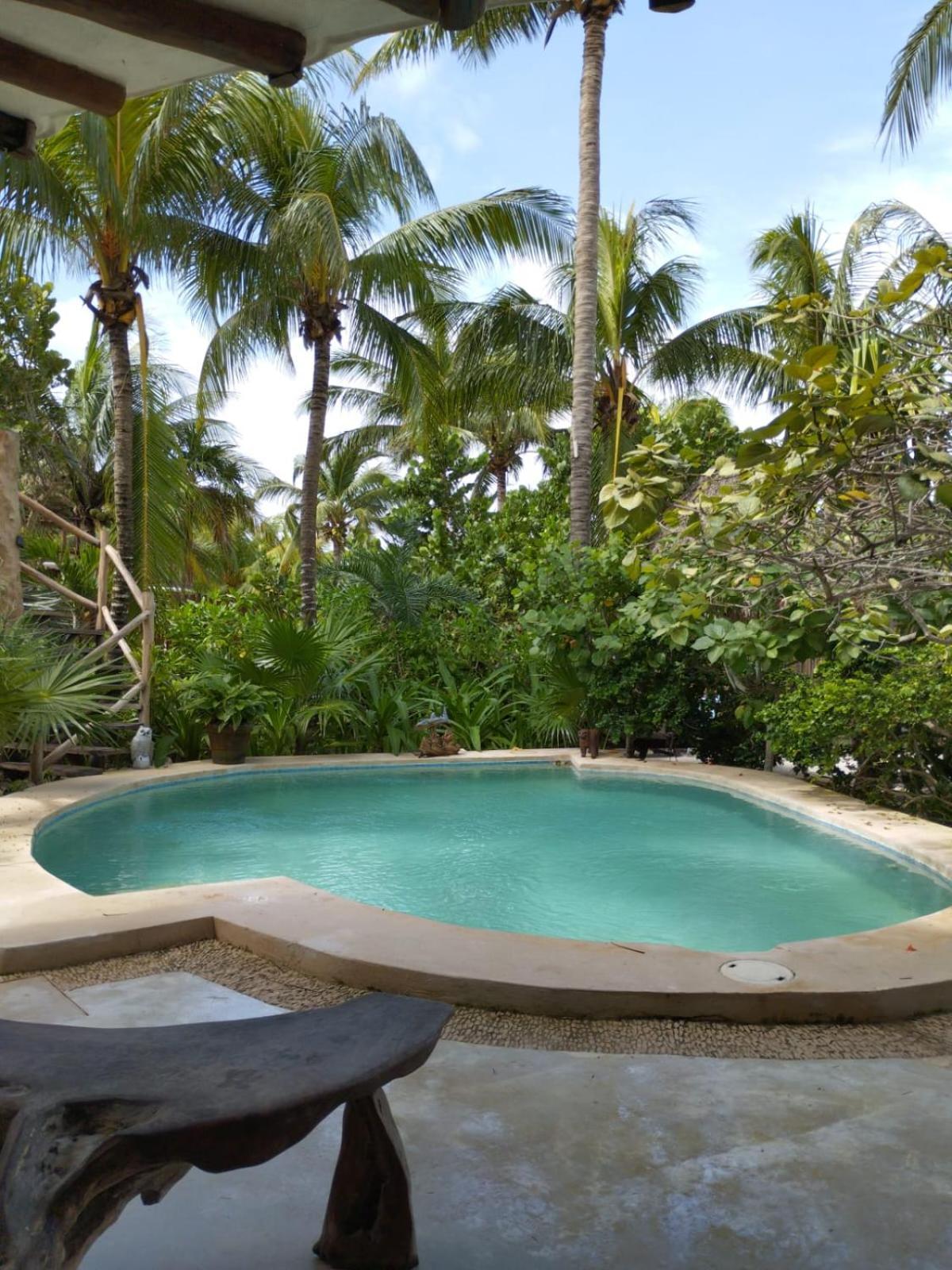 ホルボックス島 Casa Tom Tom - Adults Only Bed & Breakfast エクステリア 写真